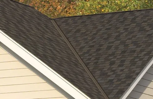 black shingles on roof